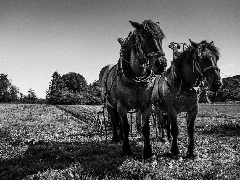 The Role of Automated Machinery in Agriculture